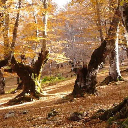 Lappe Pratola Peligna