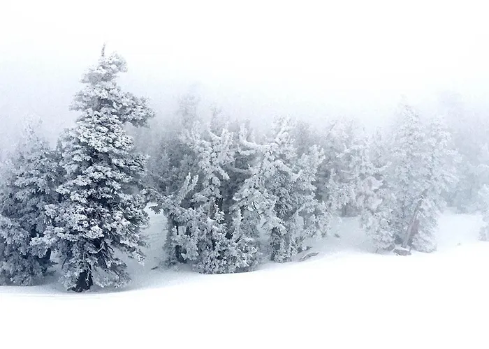 Lappe Pratola Peligna