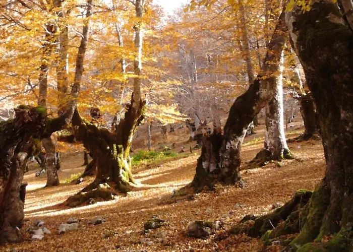 Lappe Pratola Peligna