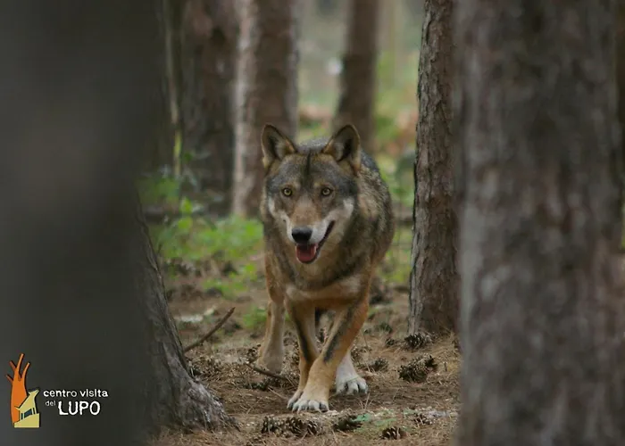 Lappe Pratola Peligna